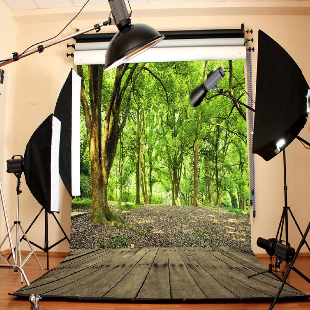 Backdrop cho studio loại phong cảnh rừng cây