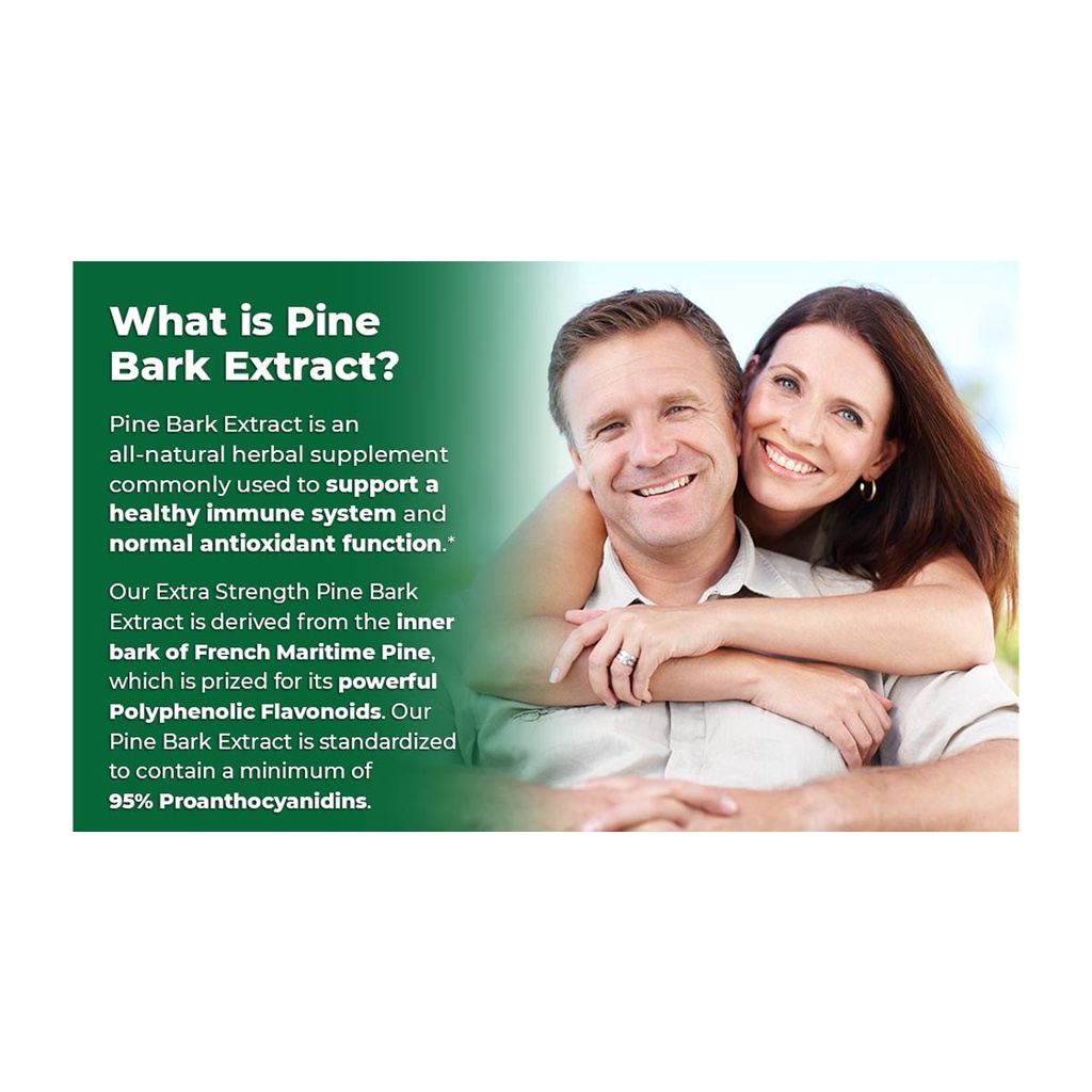 Hỗ trợ hệ miễn dịch PipingRock Pine Bark Extract 1500mg Capsules 180 viên