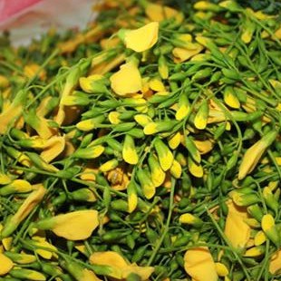 Hạt Giống Hoa Điên Điển Trang Nông