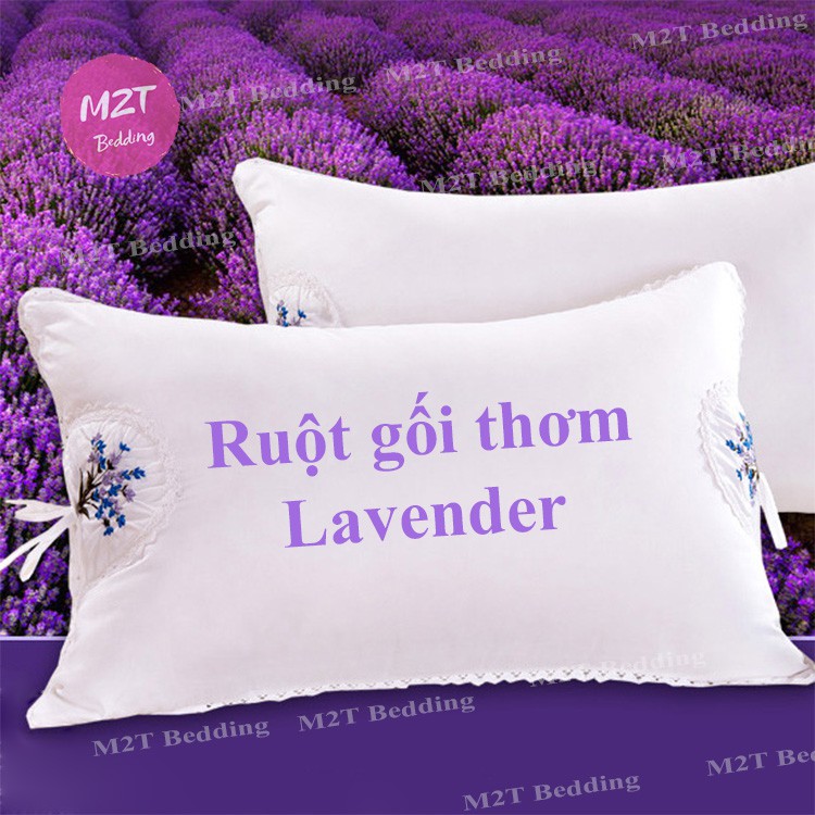 Ruột gối thơm Lavender M2T bedding ruột gối hơi cao cấp kháng khuẩn mềm mại 45x65 cm