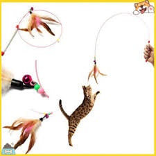 Hình ảnh Gậy đồ chơi cho mèo có lông vũ chất lượng cao #3