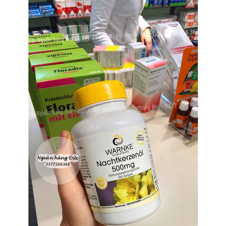 Hoa anh thảo Đức Warnke Nachtkerzenöl 500 mg làm đẹp da tóc móng, tăng khả năng thụ thai- Nguồn hàng Đức