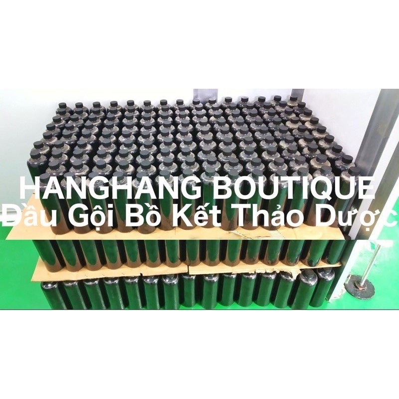 Dầu Gội Thiên Nhiên Bồ Kết Thảo Dược Cô Đặc Handmade - Kích Tóc Nhanh Dài Sạch Gàu Giảm Rụng | BigBuy360 - bigbuy360.vn