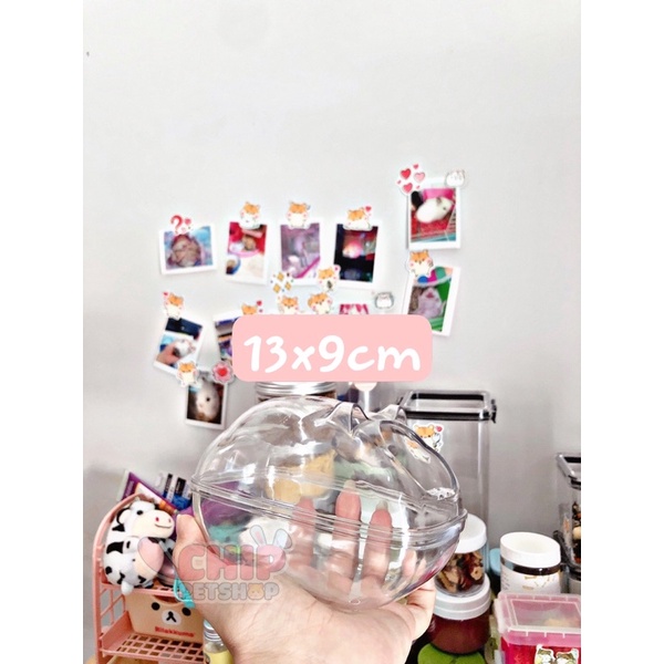 ✨ Nhà tắm Mica Mèo