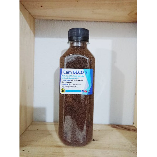 Cám BECO 2 / Thức ăn cho cá betta