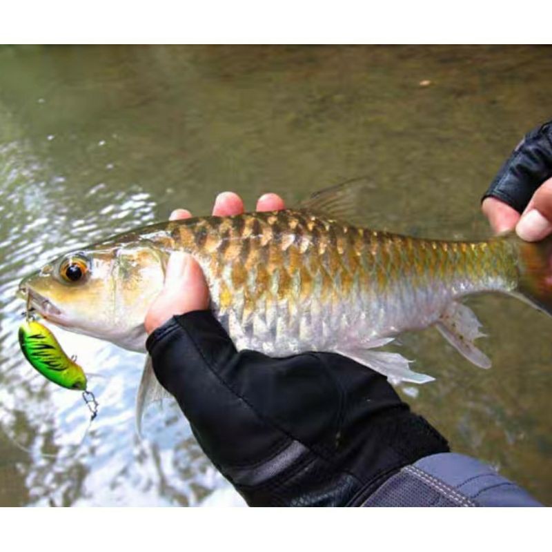 Mồi giả câu lure cc50 chính hãng