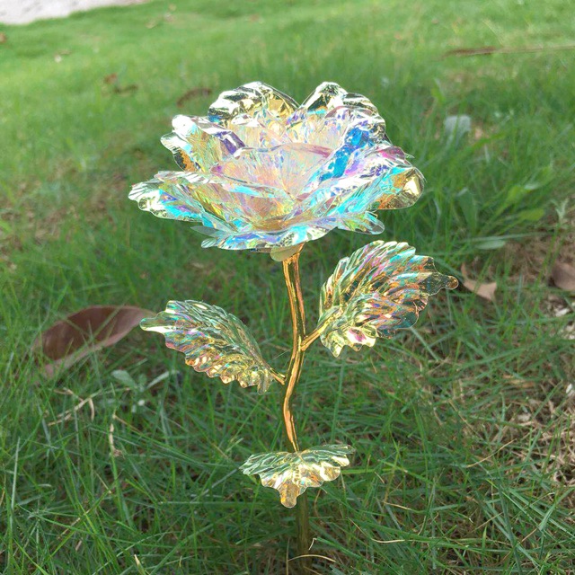 Hoa hồng Hologram có đèn với không đèn