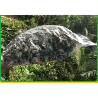 Lá Gai Làm Bánh Gai ( 500G)