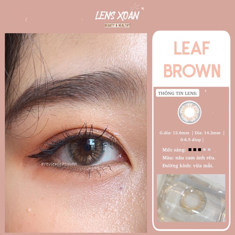 KÍNH ÁP TRÒNG LEAF BROWN: LENS NÂU RÊU ÁNH VÀNG TRONG NHẸ| B.S.COR| LENS XOẮN