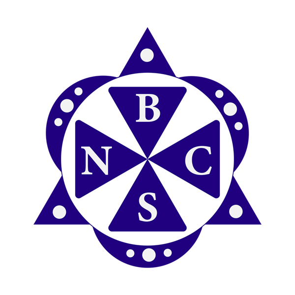 nbcs01.vn