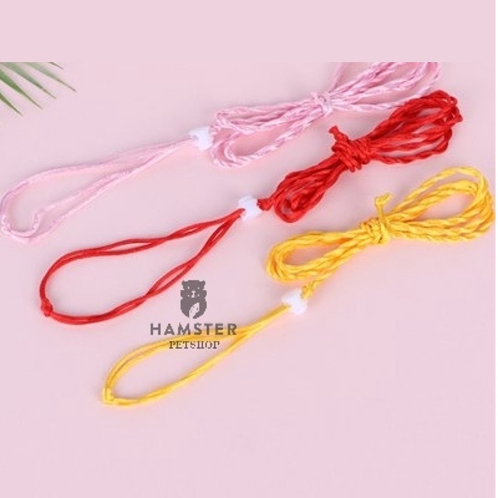 Dây dắt hamster, thỏ, Sóc , đuôi mập, chuột lang