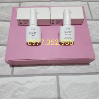 Sơn mắt mèo hiệu Gaoy