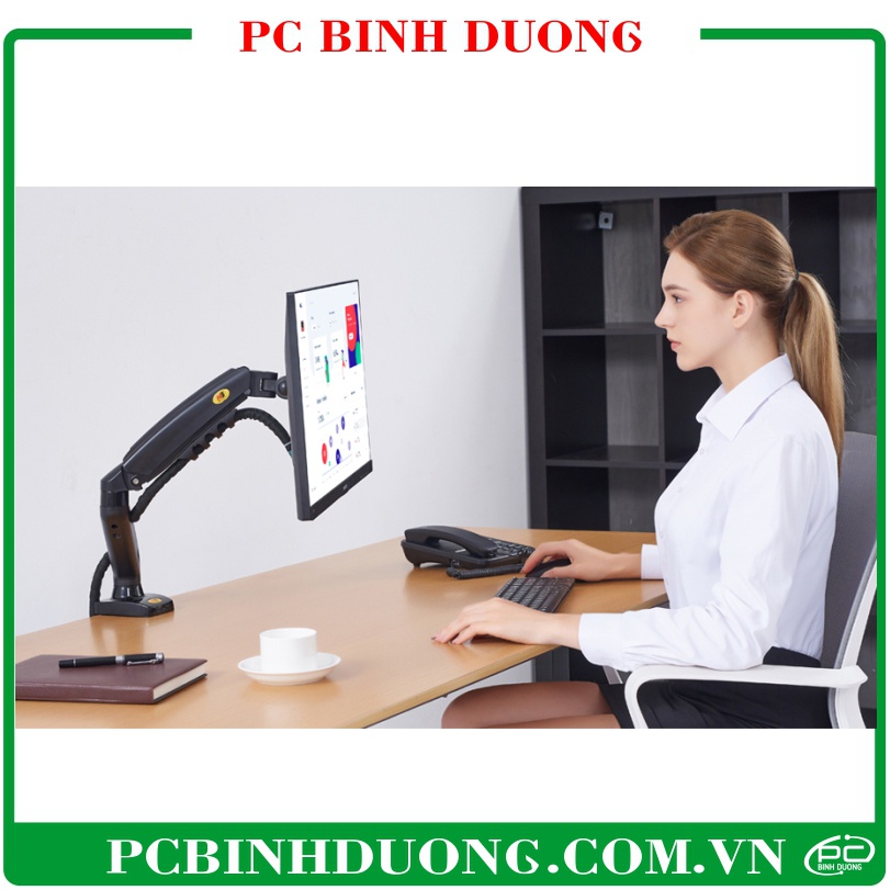 Giá Treo Màn Hình North Bayou NB-F80