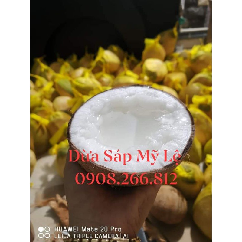 Dừa Sáp Loại Đặc Biệt