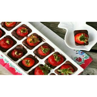 Khay làm đá loại lớn Y hình