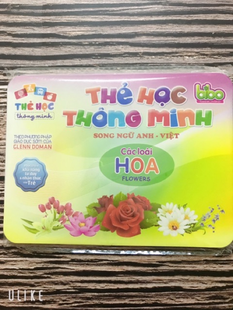 [Sỉ=lẻ] 20 THẺ HỌC THÔNG MINH SONG NGỮ ANH VIỆT LOẠI TO - PHƯƠNG PHÁP GLENN DOMAN