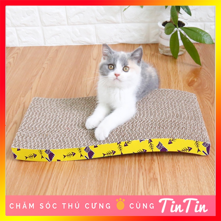 Bàn cào móng cho mèo - Đồ chơi cho mèo giá rẻ