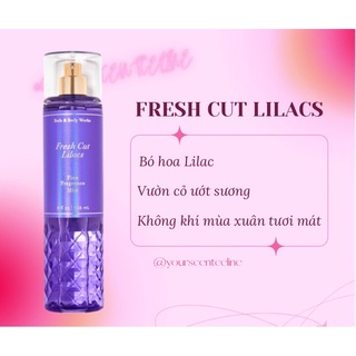 [ yourscentceline ] Xịt thơm cơ thể bodymist BBW authentic