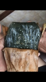 LÁ GAI LÀM BÁNH GAI ( tặng giống cây về trồng bao sống 100%)