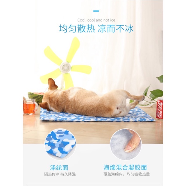 Thảm nước cho chó mèo