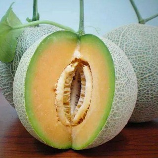 1g Hạt giống Dưa lưới   