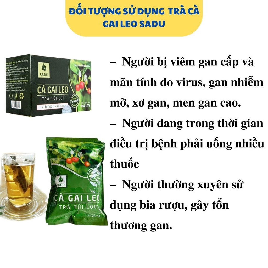 2 hộp trà cà gai leo Sadu túi lọc thanh nhiệt mát gan 100% hữu cơ hộp 150g