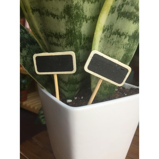 Bảng tên trang trí cây