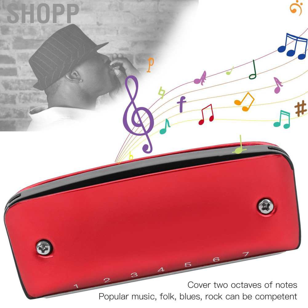 Kèn Harmonica Cho Học Sinh