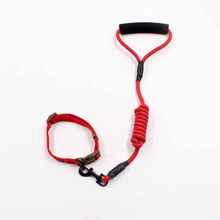 Dây Dắt Chó Cao Cấp - Tặng Kèm Vòng Cổ - Dây Dắt 012