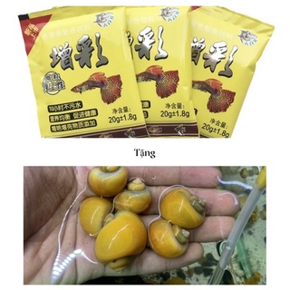 Cám cá cảnh tặng 1 ốc táo hoạc 10 ốc nerita vệ sinh hồ cá thủy sinh