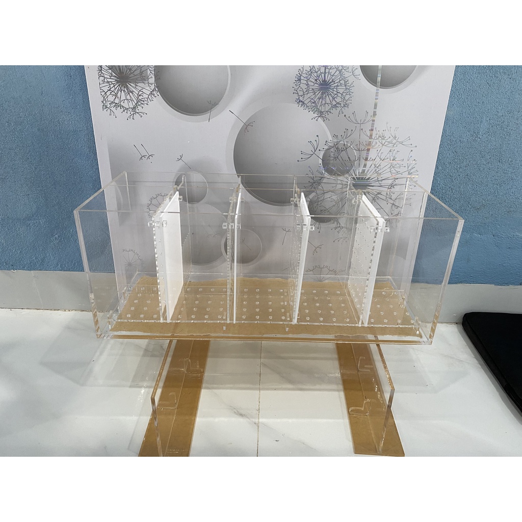 Bể cá betta, Bể cá Acrylic, Bể cá vách ngăn