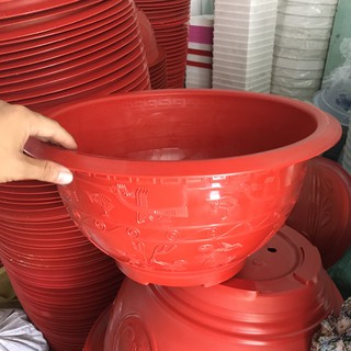 Combo 5 chậu nhựa T480 không lỗ trồng HOA SEN