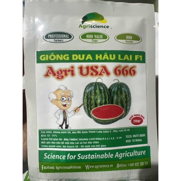 HẠT GIỐNG DƯA HẤU THÀNH LONG( DƯA MỸ) F1 AGRI 666 20gram(500 hạt)
