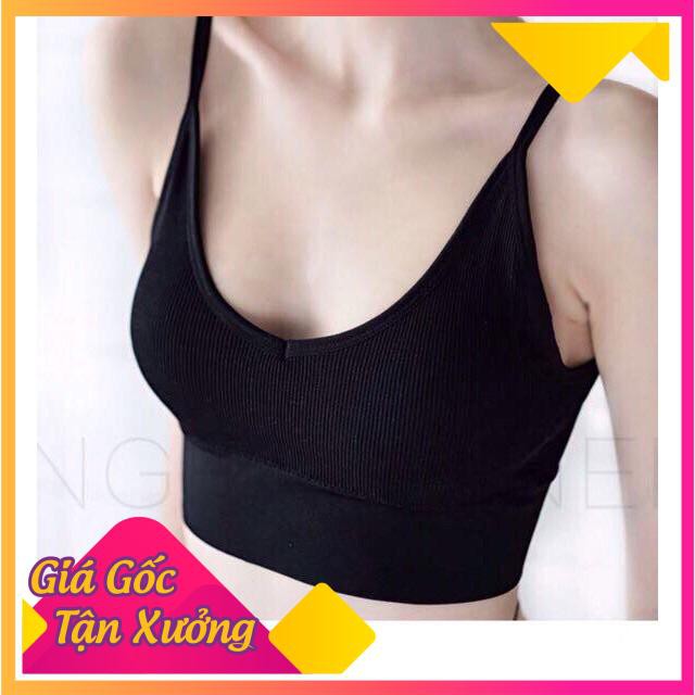 Áo Bra Cotton Khoét Lưng Đa Năng Mẫu Mới Hàng Xuất Nhật 367