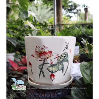 Chậu sứ có dĩa - Chậu để bàn trung (Giao mẫu ngẫu nhiên)