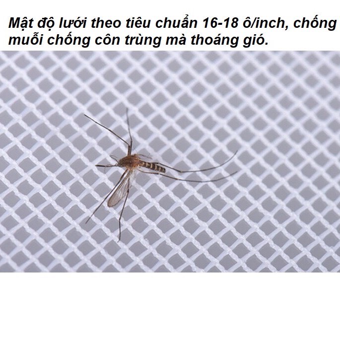 Lưới chống muỗi và côn trùng sợi thủy tinh