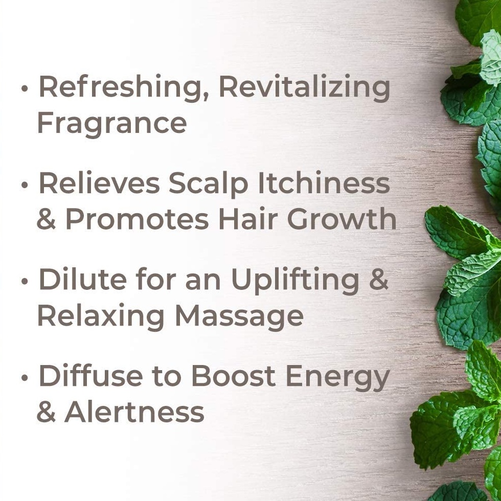 Plant Therapy - Tinh dầu hữu cơ Bạc Hà  - Organic pure essential oil