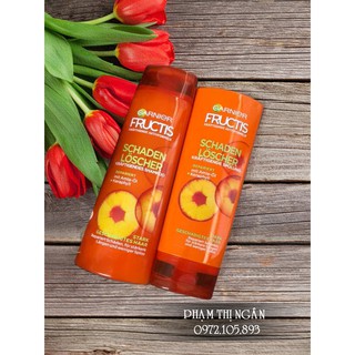 Dầu gội Garnier Fructis combo