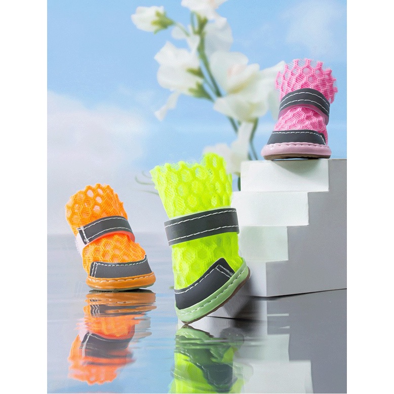 giày dạ quang đi mưa /đi bộ/ picnic cho chó