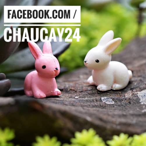 Tiểu Cảnh - Chú Thỏ Con Làm Phụ Kiện Trang Trí Terrarium, Sen Đá, Xương Rồng, charm slime