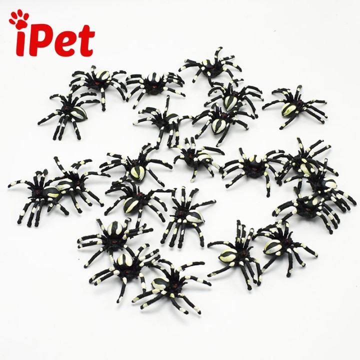 Đồ Chơi Côn Trùng Cao Su Cho Mèo Vớn Bắt - iPet Shop