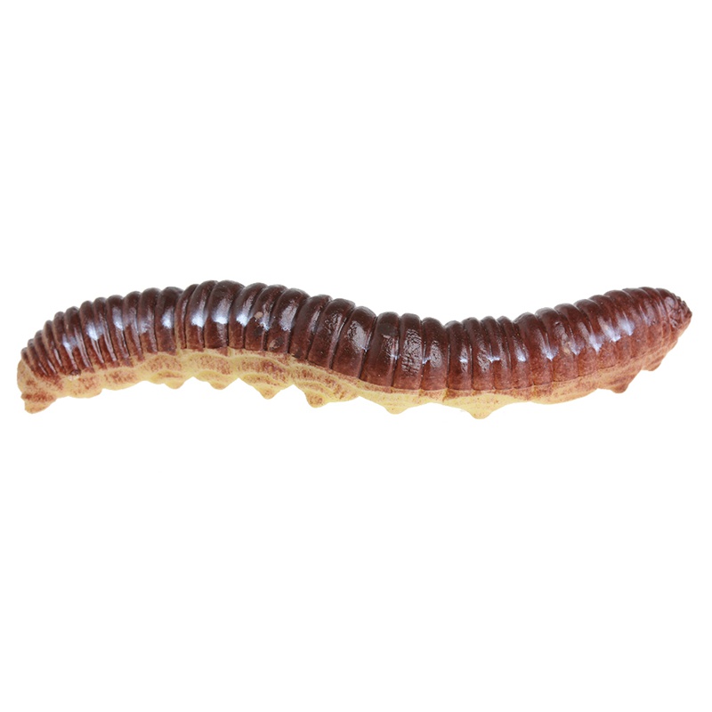 Bộ 12 Con Sâu Nhựa Đồ Chơi