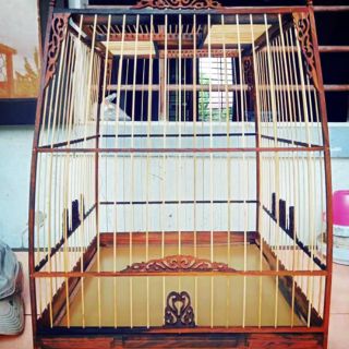 Lồng chim giả thái full phụ kiện