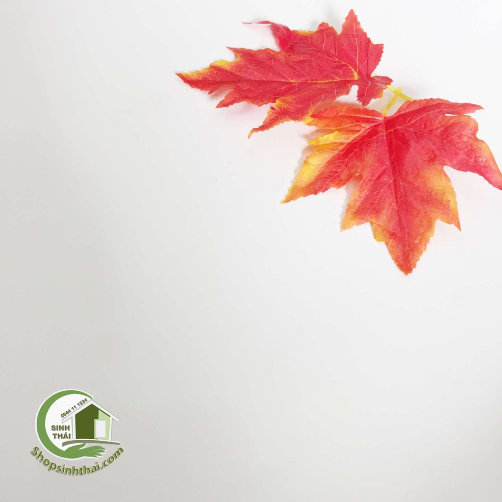 Phông nền giấy dán tường màu trắng nhám -  có sẵn keo - thảm chụp hình ảnh sản phẩm