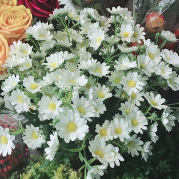 Hoa giả - Cụm hoa cúc họa mi siêu đẹp - giống thật 99%