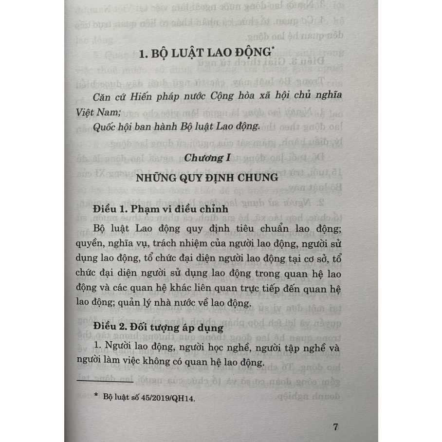 Sách - Bộ Luật Lao Động Năm 2019 Và Văn Bản Hướng Dẫn Thi Hành