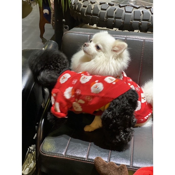 ÁO LEN NOEL CHO THÚ CƯNG