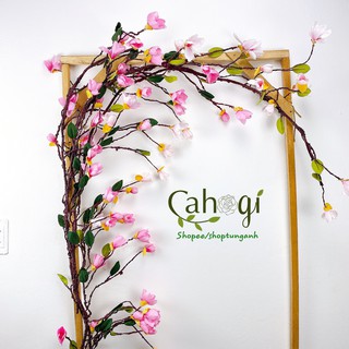 Cây giả - cây dây leo hoa mộc lan 1m6