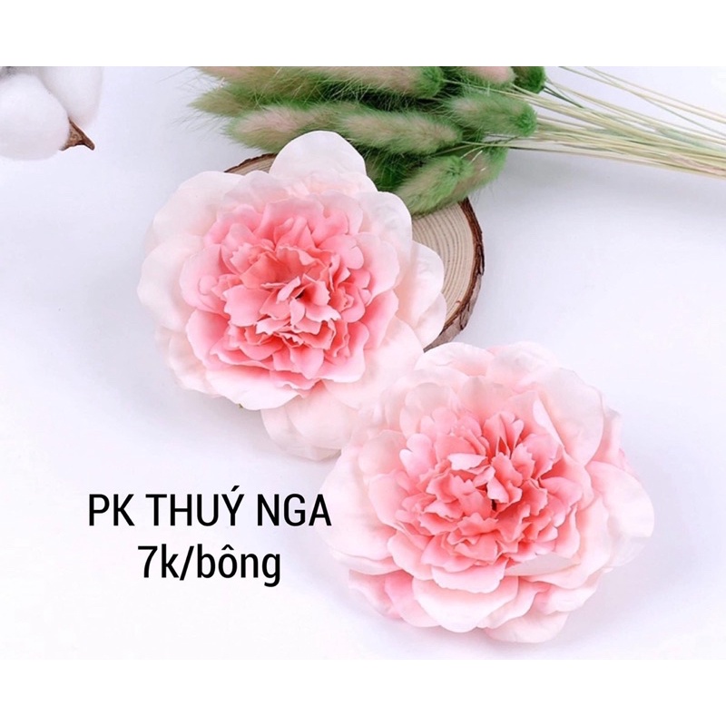 5 hoa mẫu đơn trang trí bánh