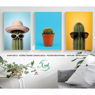 Bộ 3 tranh xương rồng cực ngầu màu sắc cơ bản ấn tượng trang trí